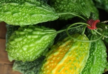 Kudret Narı Basur İçin Kullanımı ve Faydaları Nelerdir?