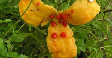 Kudret Narı Reçeli Tarifi ve Malzemeleri